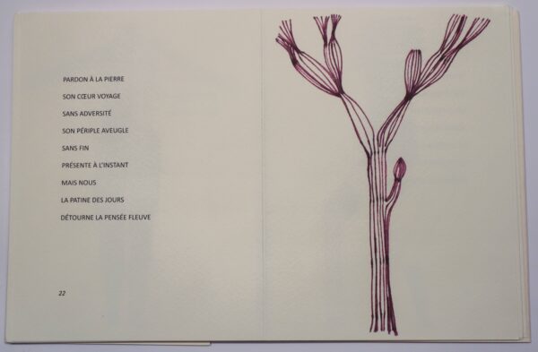 Marcel Beaujard, Qui marie les oiseaux ?, avec des dessins d’Isabelle Jolivet – Image 2
