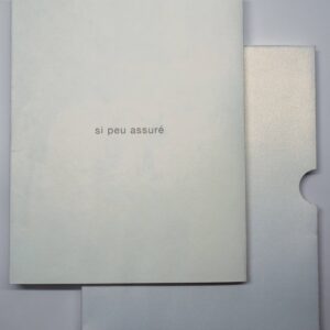 Louis Dire, si peu assuré, avec des interventions sérigraphiées de Béatrice Casadesus