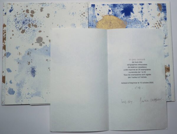 Louis Dire, si peu assuré, avec des interventions sérigraphiées de Béatrice Casadesus – Image 3