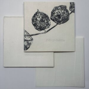 Kobayashi Issa, Ballet de lucioles, avec des gravures originales d’Anne-Laure H-Blanc