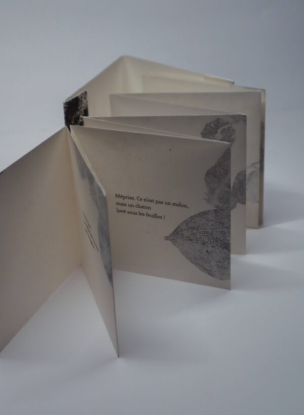 Kobayashi Issa, Ballet de lucioles, avec des gravures originales d’Anne-Laure H-Blanc – Image 2