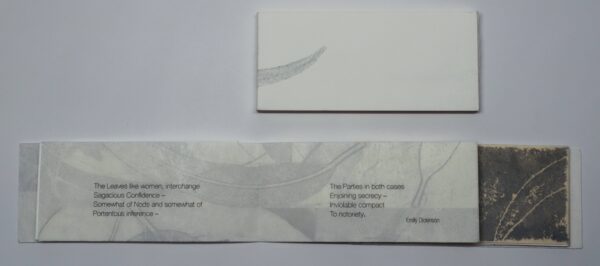 Anne-Laure H-Blanc, a tribute to Emily Dickinson – Image 2