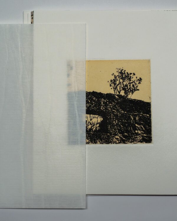 Jean Gabriel Cosculluela, L’Ecart d’oubli, avec six gravures originales d’Anne-Laure H-Blanc – Image 2