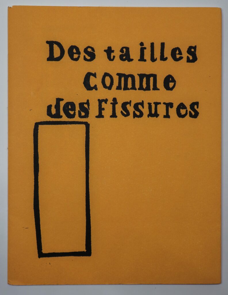 Pascale Hemery, Des tailles comme des fissures