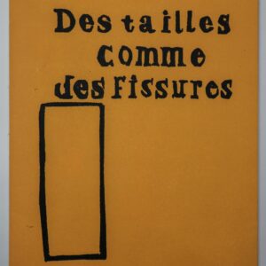 Pascale Hemery, Des tailles comme des fissures