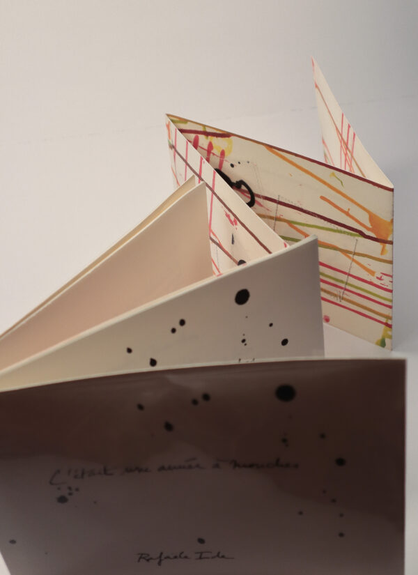 Rafaële Ide, C’était une année à mouches – Image 2