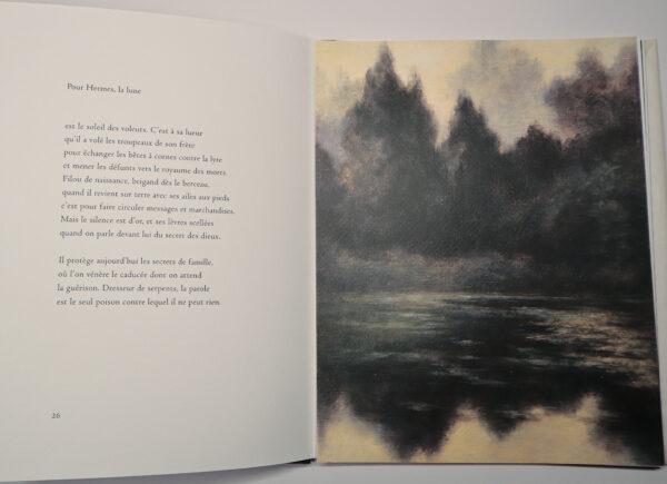 Gérard Macé, Homère au royaume des morts a les yeux ouverts, avec des reproductions de Stanislas Bouvier – Image 3