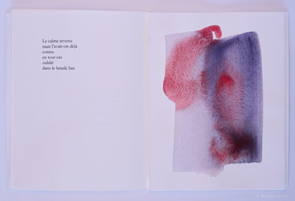 Pierre-André Benoit, La Tempête passée, avec des peintures de Anne Slacik – Image 4