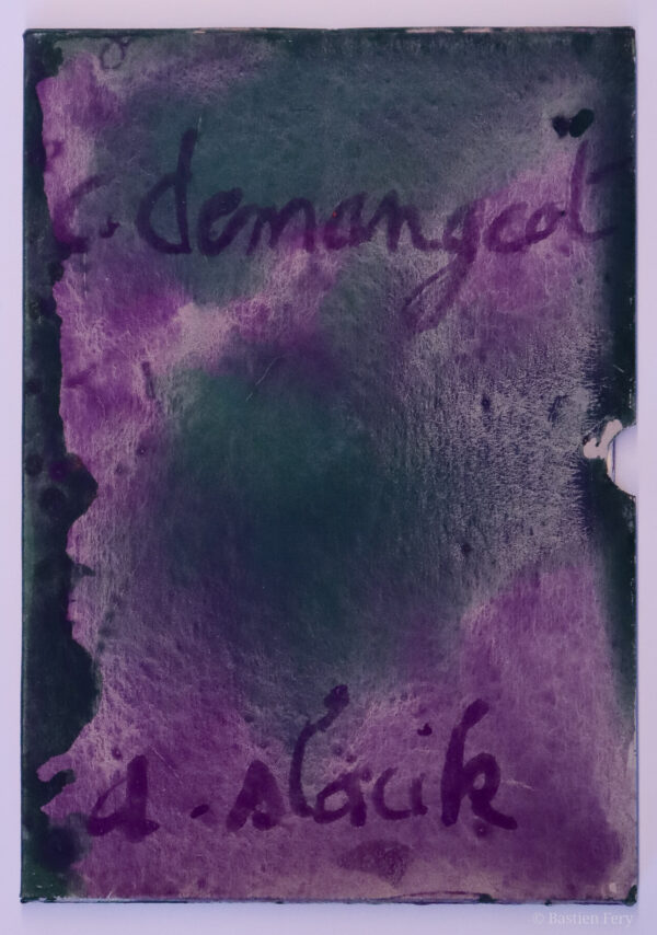 Cédric Demangeot, Le Lire l’annule, avec des peintures de Anne Slacik – Image 2