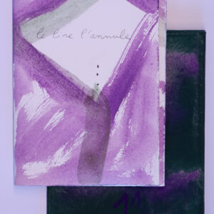 Cédric Demangeot, Le Lire l’annule, avec des peintures de Anne Slacik
