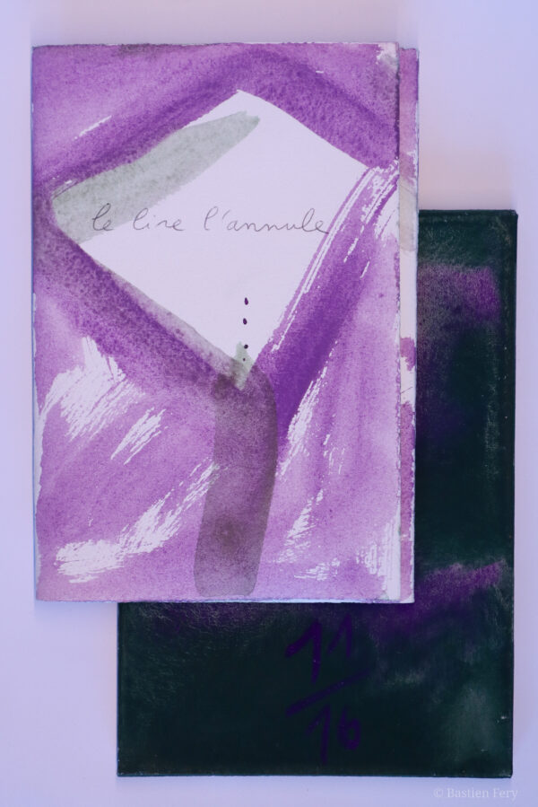 Cédric Demangeot, Le Lire l’annule, avec des peintures de Anne Slacik
