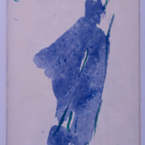 Cédric Demangeot, Autour du bleu, avec des peintures de Anne Slacik