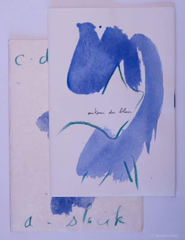 Cédric Demangeot, Autour du bleu, avec des peintures de Anne Slacik – Image 2
