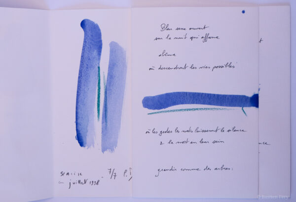 Cédric Demangeot, Autour du bleu, avec des peintures de Anne Slacik – Image 4