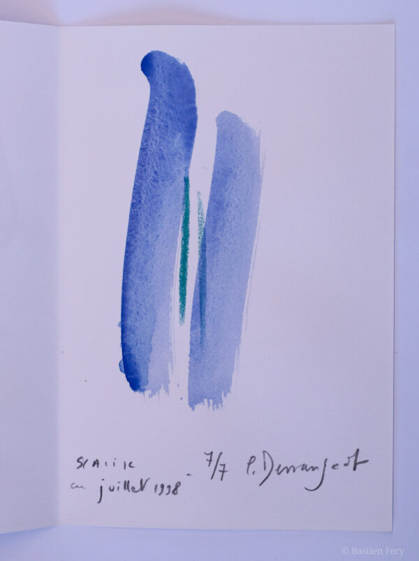 Cédric Demangeot, Autour du bleu, avec des peintures de Anne Slacik – Image 5