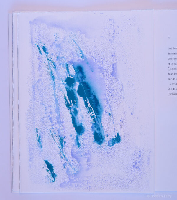 Adonis, La Mort faite ciel, avec sept peintures originales de Anne Slacik – Image 3