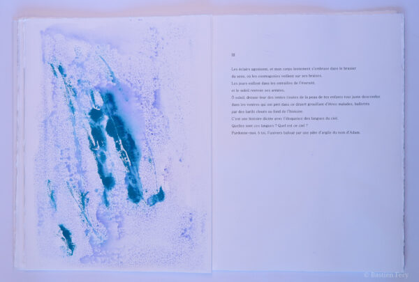 Adonis, La Mort faite ciel, avec sept peintures originales de Anne Slacik – Image 2