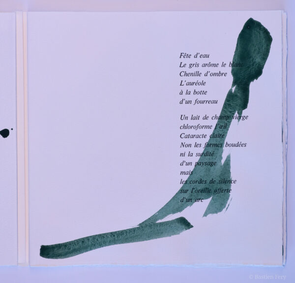 Tita Reut, Le Jardin Cirripède, avec douze peintures de Anne Slacik – Image 5