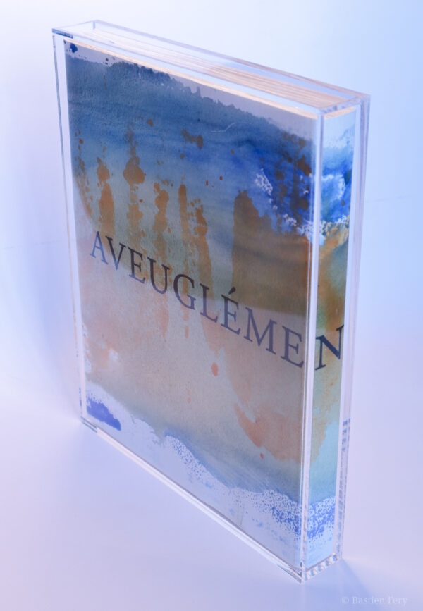 André du Bouchet, Aveuglément, peinture, avec neuf peintures originales de Anne Slacik – Image 2