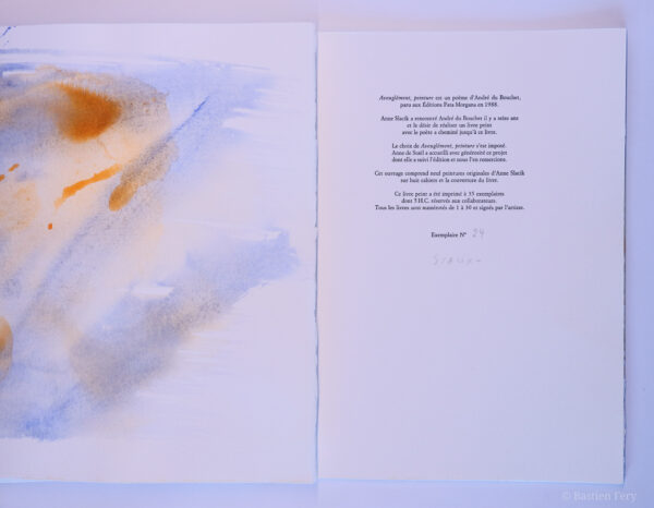 André du Bouchet, Aveuglément, peinture, avec neuf peintures originales de Anne Slacik – Image 5