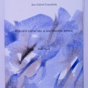 Jean-Gabriel Cosculluela, Pessakh Antschel & Bachmann Apside, avec six peintures de Anne Slacik