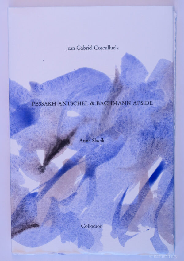 Jean-Gabriel Cosculluela, Pessakh Antschel & Bachmann Apside, avec six peintures de Anne Slacik