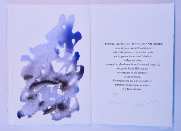 Jean-Gabriel Cosculluela, Pessakh Antschel & Bachmann Apside, avec six peintures de Anne Slacik – Image 4