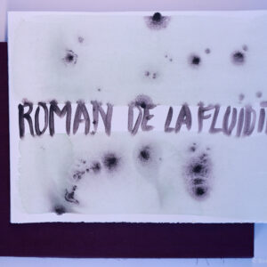 Bernard Noël, Roman de la fluidité, avec 16 peintures de Anne Slacik