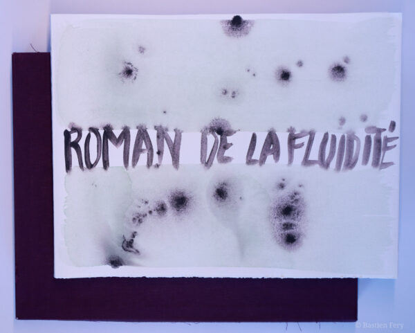 Bernard Noël, Roman de la fluidité, avec 16 peintures de Anne Slacik