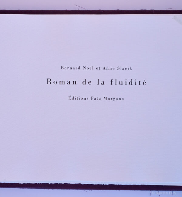 Bernard Noël, Roman de la fluidité, avec 16 peintures de Anne Slacik – Image 2