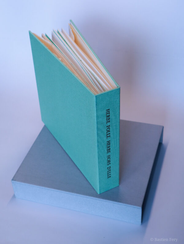 Jean-Pierre Faye, Herbe folle, herbe hors d’elle, avec six lithographies de Anne Slacik – Image 2