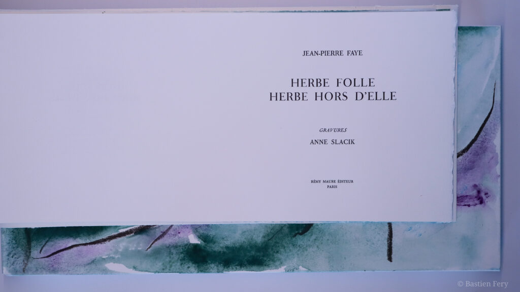 Jean-Pierre Faye, Herbe folle, herbe hors d’elle, avec des pointes sèches et peintures de Anne Slacik, édition folio non pliés et emboîtage peint