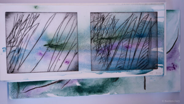 Jean-Pierre Faye, Herbe folle, herbe hors d’elle, avec des pointes sèches et peintures de Anne Slacik, édition folio non pliés et emboîtage peint – Image 4