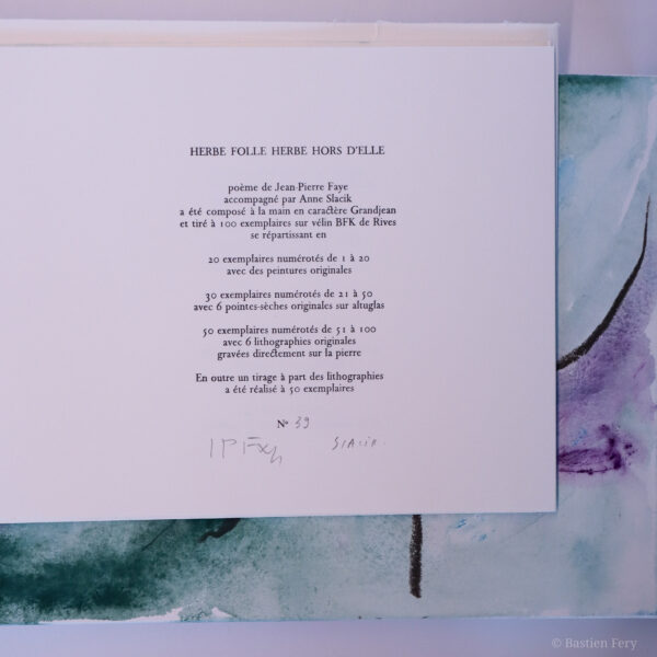 Jean-Pierre Faye, Herbe folle, herbe hors d’elle, avec des pointes sèches et peintures de Anne Slacik, édition folio non pliés et emboîtage peint – Image 5