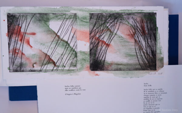 Jean-Pierre Faye, Herbe folle, herbe hors d’elle, avec des pointes sèches et peintures de Anne Slacik, édition folio non pliés et emboîtage toilé – Image 3