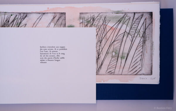 Jean-Pierre Faye, Herbe folle, herbe hors d’elle, avec des pointes sèches et peintures de Anne Slacik, édition folio non pliés et emboîtage toilé – Image 4
