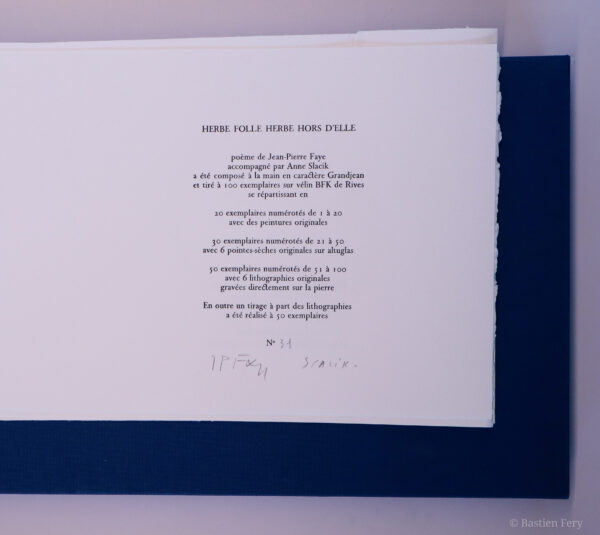 Jean-Pierre Faye, Herbe folle, herbe hors d’elle, avec des pointes sèches et peintures de Anne Slacik, édition folio non pliés et emboîtage toilé – Image 6