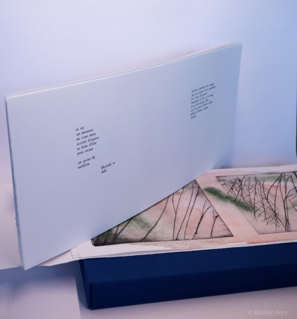 Jean-Pierre Faye, Herbe folle, herbe hors d’elle, avec des pointes sèches et peintures de Anne Slacik, édition folio non pliés et emboîtage toilé – Image 5