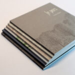 Corinne Rippes, Exuvie – Image 2