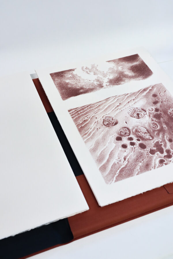 Rikki Ducornet, Haddock’s eyes / Les Yeux d’Églefin, texte et dessins de l’auteur – Image 3